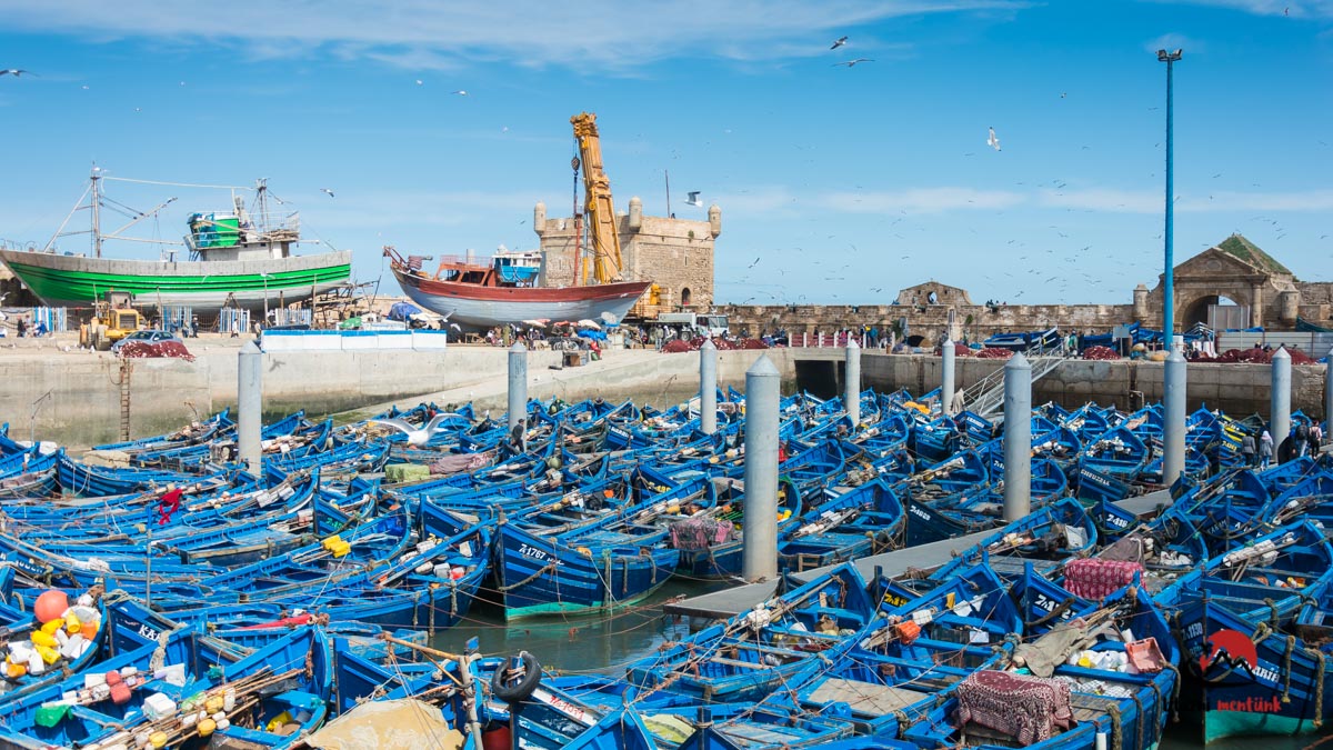 Essaouira port,Morocco.jpg